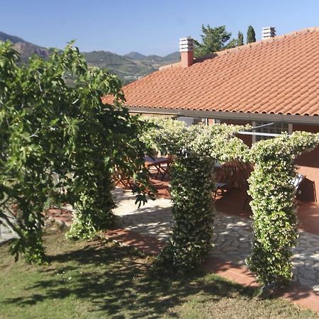Vila Lo Scoglio - Goelba Capoliveri  Pokoj fotografie